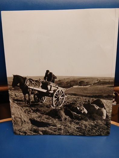 Western Ways, Mayo interest