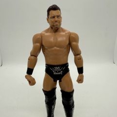 wwe The Miz action figure
