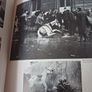 The Animal in Photography, 1843 - 1985/ 1986 Image 5