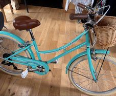 24 inch bike Bridgford excellent condition