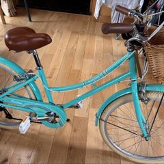 24 inch bike Bridgford excellent condition