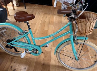 24 inch bike Bridgford excellent condition