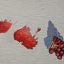Original Oil Painting  - Pomegranate Image 2