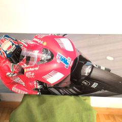 MotoGP Casey Stoner 48/20in Picture