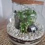 Forest in the jar Image 2