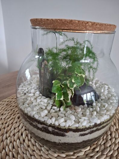Forest in the jar