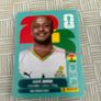 Panini World Cup Stickers Image 2