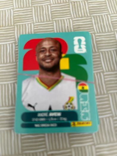 Panini World Cup Stickers