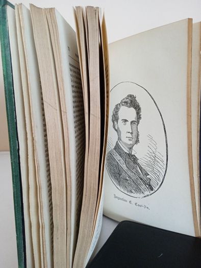 Speeches from the Dock or, Protests of Irish Patriotism: Containing with Introductory Sketches and Biographical Notices by T. D. A. M. and D. B. Sullivan (PT87)