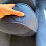 armchair velvet CAN DELIVER Image 4