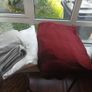 Cushions and Blankets Image 4