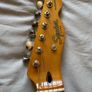 Squier Classic Vibe 50s Telecaster Image 3