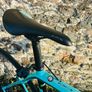 Bianchi Infinito CV carbon Image 4