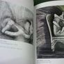 Nicholas Gallery Belfast Ireland Francis Bacon Lucian Freud Henry Moore Picasso Image 7