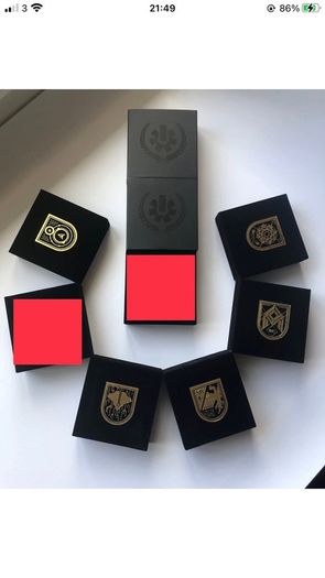 Destiny 2 - Wayfarer seal pin. Rare and Retired