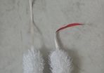 Cat toys