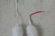 Cat toys