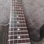 Fender Jim Adkins telecaster Image 3