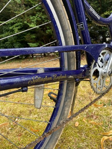 Raleigh Willow Women's Dutch Bike
