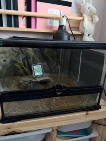 Reptile tank - was use for a tortoise
