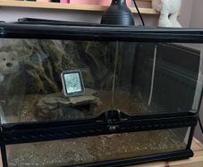 Reptile tank - was use for a tortoise