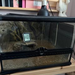 Reptile tank - was use for a tortoise