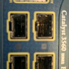 cisco