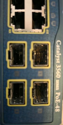 cisco