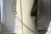 Large Modern Artistic Vase (new)