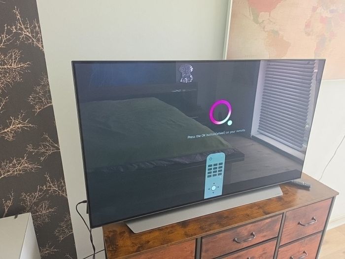 Lg Oled 48"