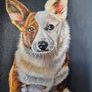 Corgi | Original oil painting on canvas panel Image 2