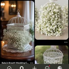 Decorative vintage bird cage display / flower decoration