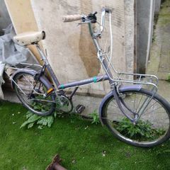 Raleigh 20 vintage bike