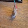 2024 Newbridge Silverware Baby Seal Pup Ornament Image 8
