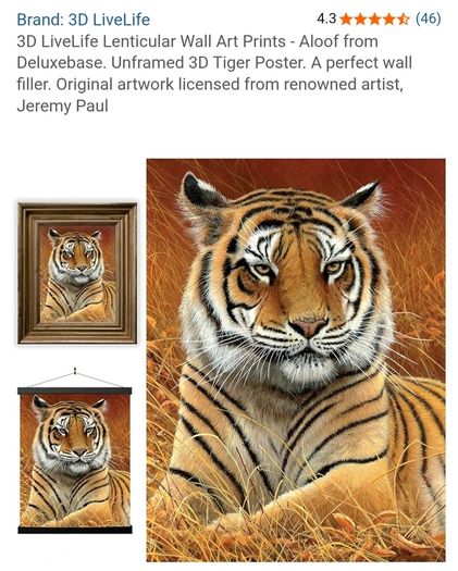 3D LiveLife Lenticular Wall Art Prints - Aloof From Deluxe Base - Unframed 3D Tiger - Size - 40cm x 30cm - RRP - 18.99