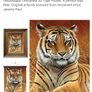 3D LiveLife Lenticular Wall Art Prints - Aloof From Deluxe Base - Unframed 3D Tiger - Size - 40cm x 30cm - RRP - 18.99 Image 4