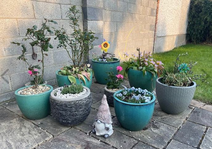 Small Grey Earthenware Flower Pot with Stone Design- 3 available