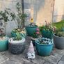 Small Grey Earthenware Flower Pot with Stone Design- 3 available Image 3