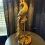 NEXT Black & Gold Peacock Lamp Set Pair of Table Lamps + Floor Lamp Image 8