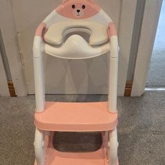 Child toilet seat and step