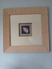 Pictures