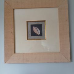 Pictures