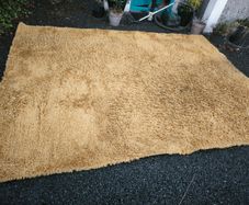Mustard rug