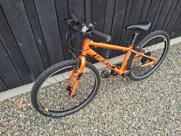 Giant ARX 24 inch kids bike