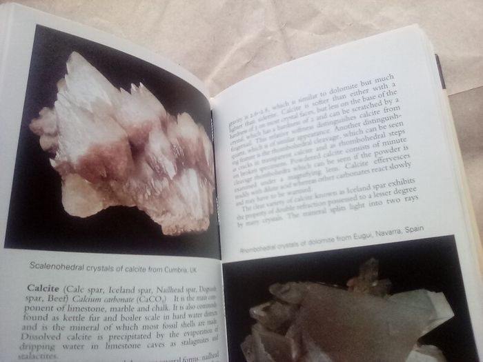 Hardback pocket guide Rocks & Minerals