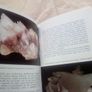 Hardback pocket guide Rocks & Minerals Image 2