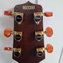 Takamine Image 4
