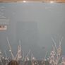 The Shins - Oh, Inverted World. Image 2