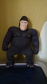 Stretch Monkey