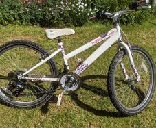 Raleigh Krush 24" girls bicycle